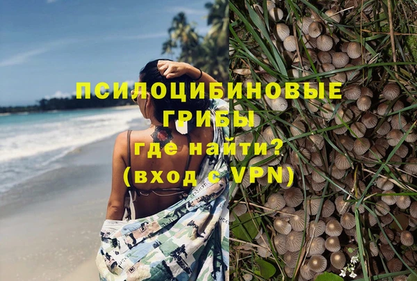 стаф Нефтекумск