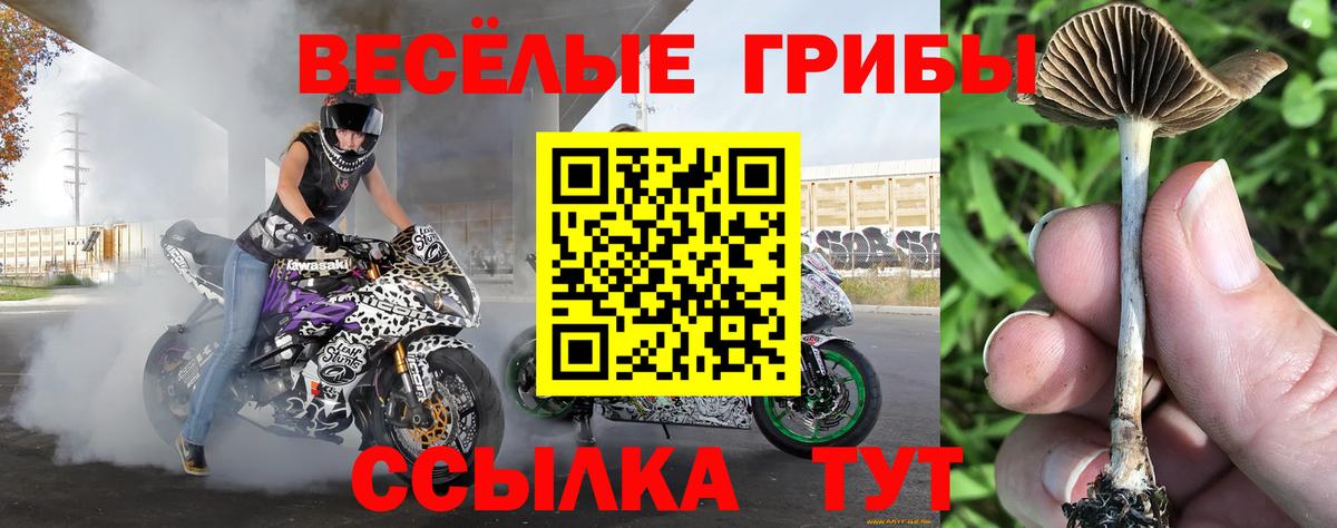 Псилоцибиновые грибы Magic Shrooms  Вход с VPN  Балтийск 