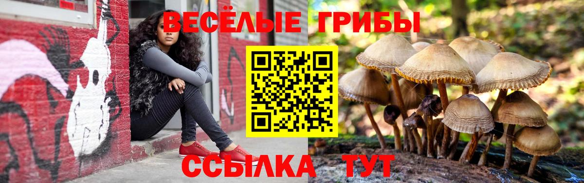NBOMe Балтийск